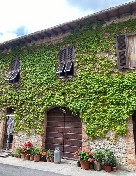 appartamento in vendita a Roccalbegna