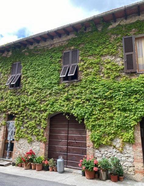 appartamento in vendita a Roccalbegna