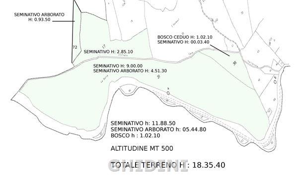 terreno agricolo in vendita a Roccalbegna in zona Cana