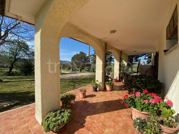 casa indipendente in vendita a Roccalbegna in zona Cana