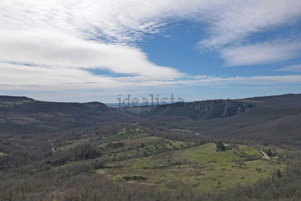 esavano in vendita a Roccalbegna