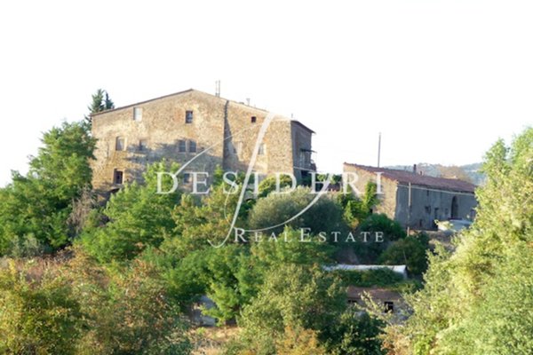 azienda agricola in vendita a Roccalbegna in zona Cana