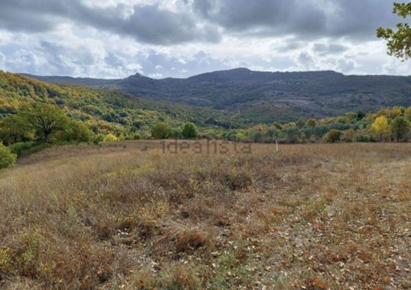 casa indipendente in vendita a Roccalbegna