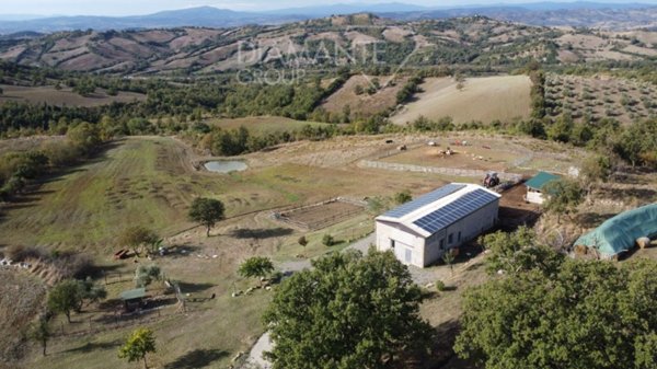 quadrivano in vendita a Roccalbegna