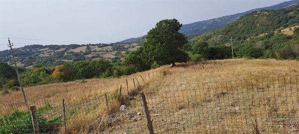 terreno agricolo in vendita a Roccalbegna