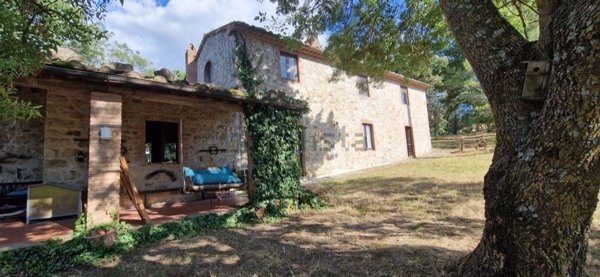 azienda agricola in vendita a Roccalbegna
