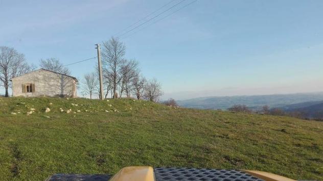appartamento in vendita a Roccalbegna
