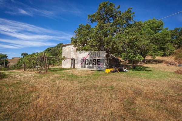 esavano in vendita a Roccalbegna