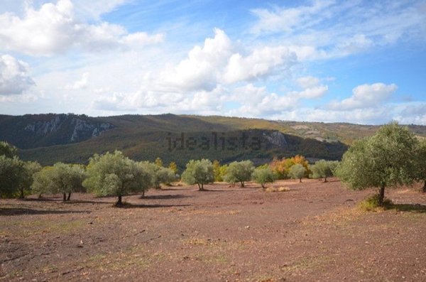 casale in vendita a Roccalbegna