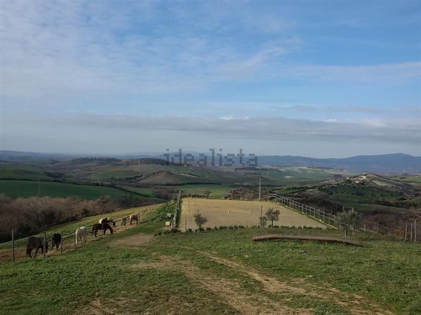 terreno agricolo in vendita a Roccalbegna in zona Cana
