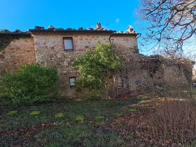azienda agricola in vendita a Roccalbegna