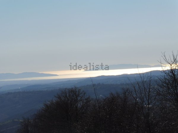 terreno agricolo in vendita a Roccalbegna