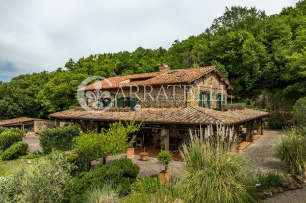 casale in vendita a Roccalbegna