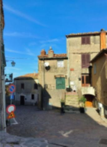 appartamento in vendita a Roccalbegna in zona Cana