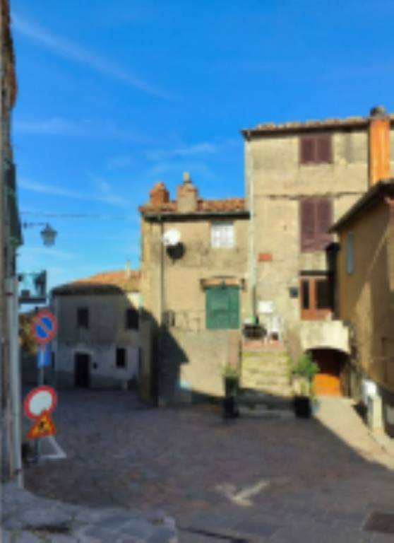 appartamento in vendita a Roccalbegna in zona Cana