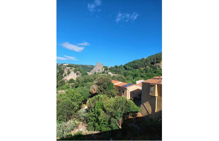 appartamento in vendita a Roccalbegna