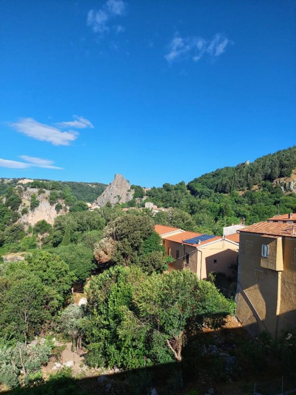 appartamento in vendita a Roccalbegna