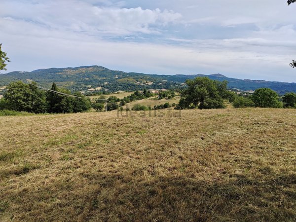 terreno agricolo in vendita a Roccalbegna