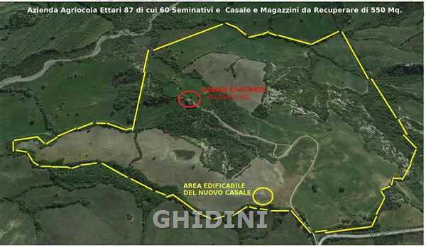 azienda agricola in vendita a Roccalbegna