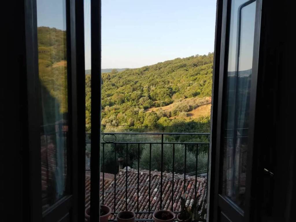 appartamento in vendita a Roccalbegna