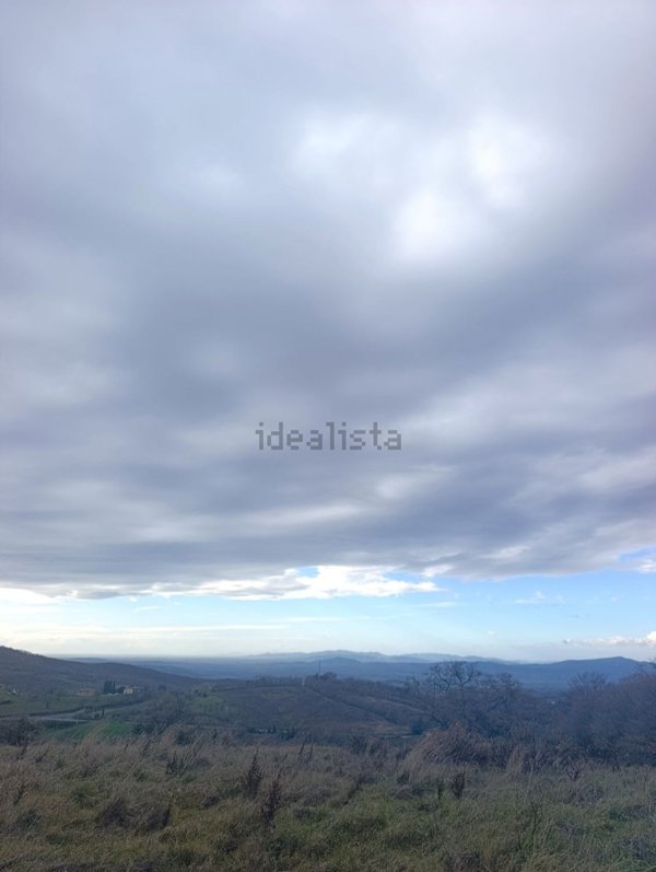 terreno agricolo in vendita a Roccalbegna in zona Cana