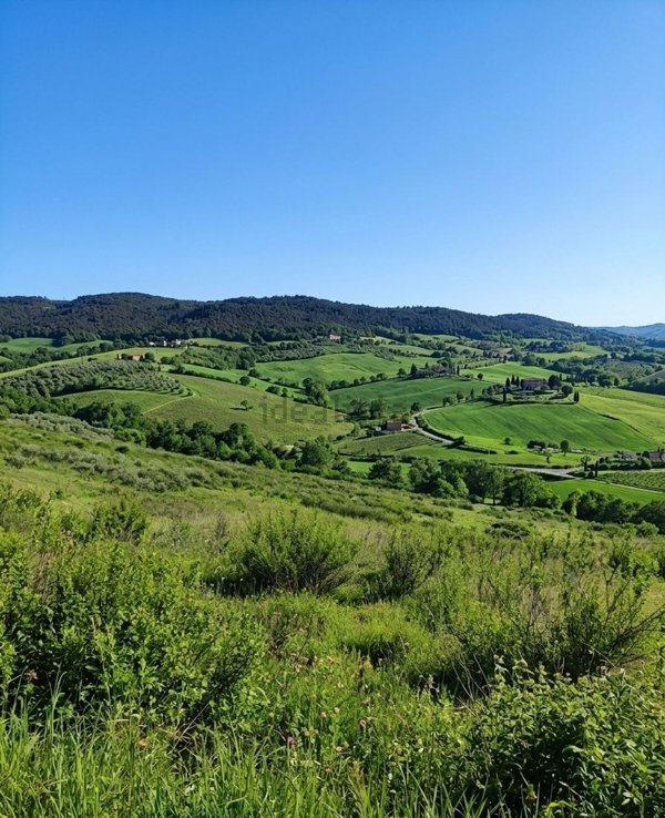 terreno agricolo in vendita a Roccalbegna in zona Cana