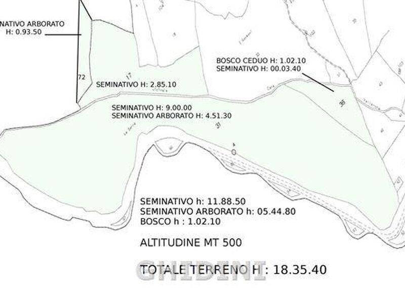 terreno agricolo in vendita a Roccalbegna