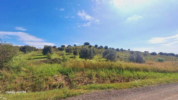 appartamento in vendita a Roccalbegna