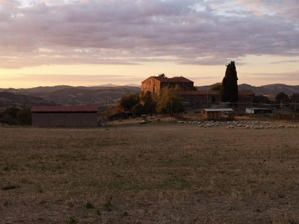 casale in vendita a Roccalbegna