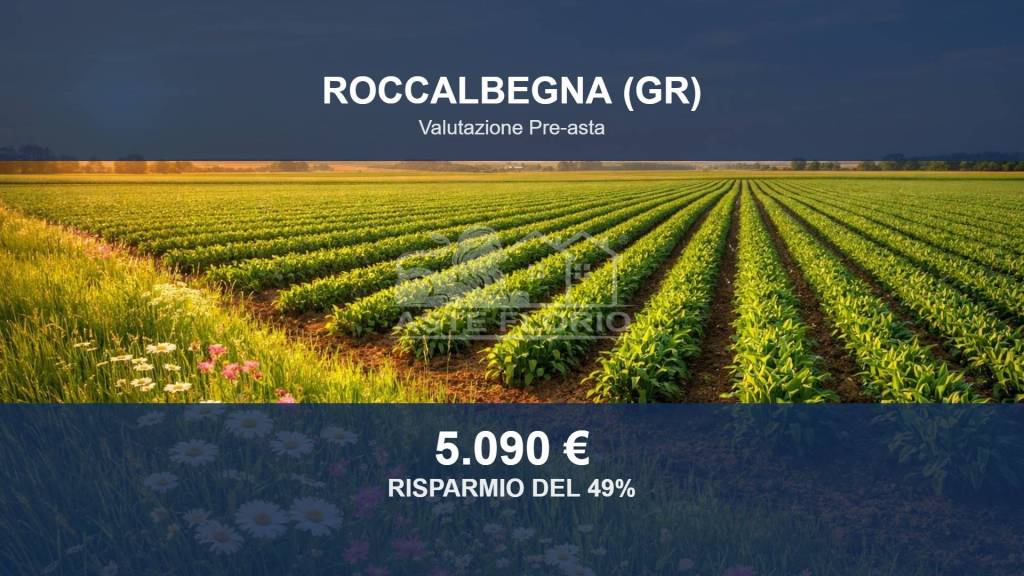 terreno agricolo in vendita a Roccalbegna in zona Cana