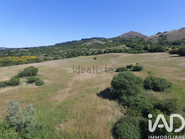 terreno agricolo in vendita a Roccalbegna