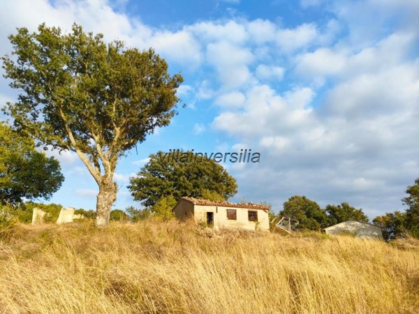 terreno agricolo in vendita a Roccalbegna