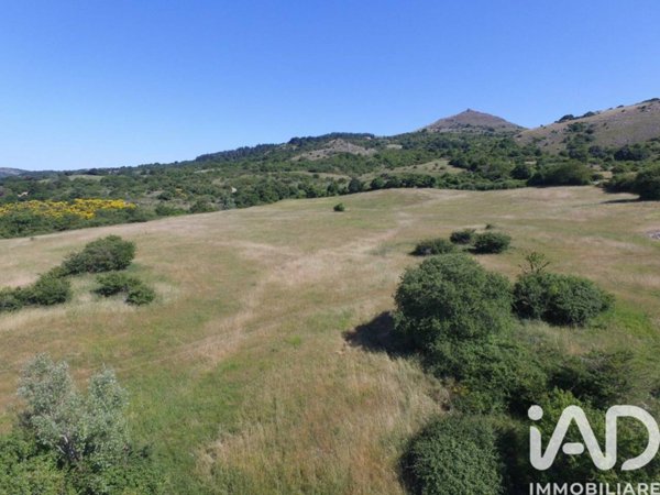 terreno agricolo in vendita a Roccalbegna