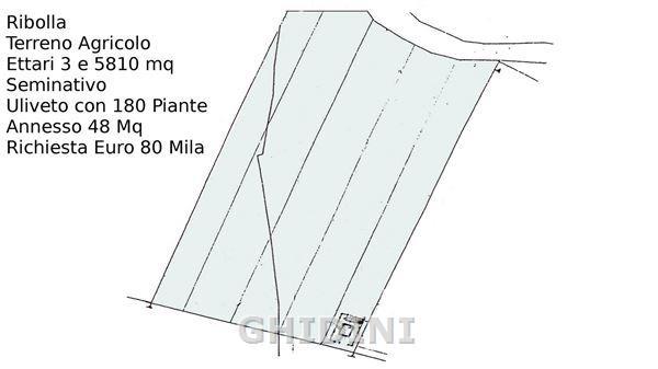 appartamento in vendita a Roccastrada in zona Ribolla