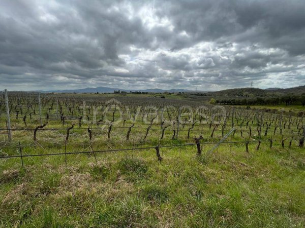 appartamento in vendita a Roccastrada