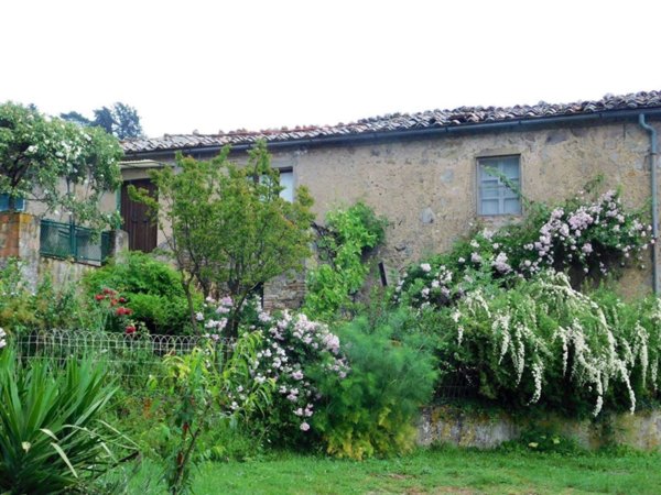 casa indipendente in vendita a Roccastrada