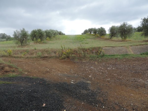 terreno agricolo in vendita a Roccastrada in zona Ribolla