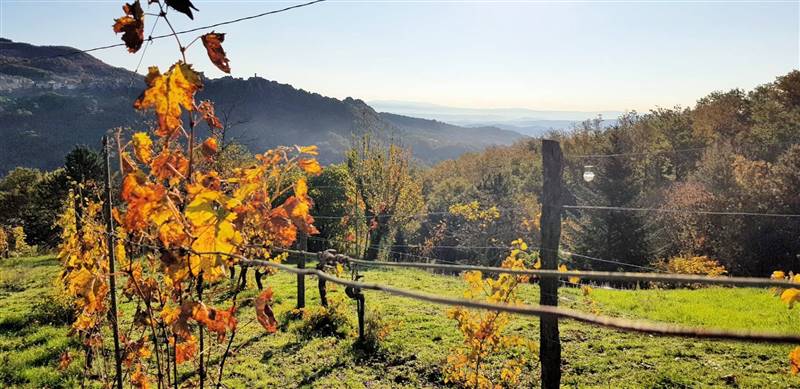 casa indipendente in vendita a Roccastrada in zona Roccatederighi