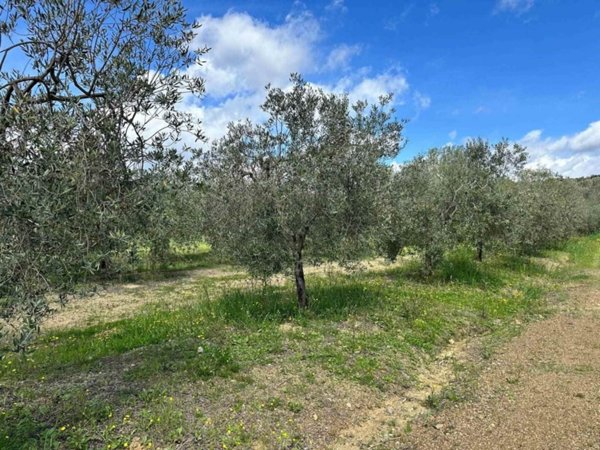 appartamento in vendita a Roccastrada in zona Ribolla