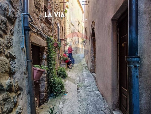 casa indipendente in vendita a Roccastrada in zona Montemassi