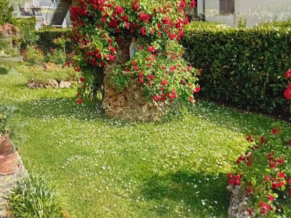 casa indipendente in vendita a Roccastrada in zona Ribolla