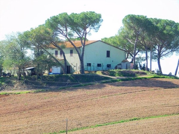 casa indipendente in vendita a Roccastrada
