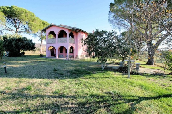 esavano in vendita a Roccastrada in zona Montemassi