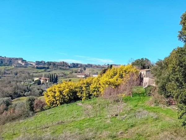 casa indipendente in vendita a Roccastrada