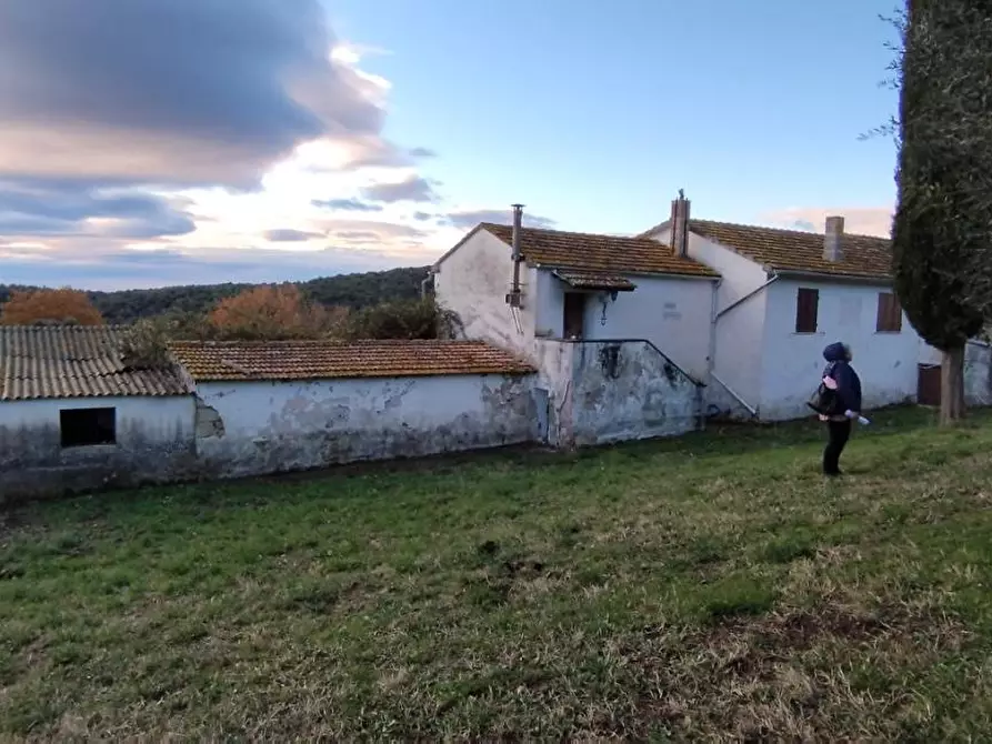 casa indipendente in vendita a Roccastrada