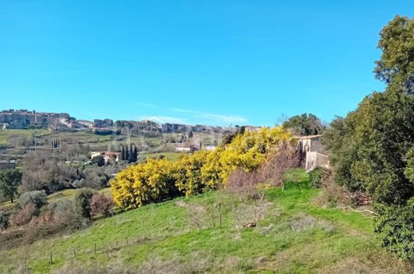 casa indipendente in vendita a Roccastrada