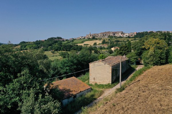 pentavano in vendita a Roccastrada