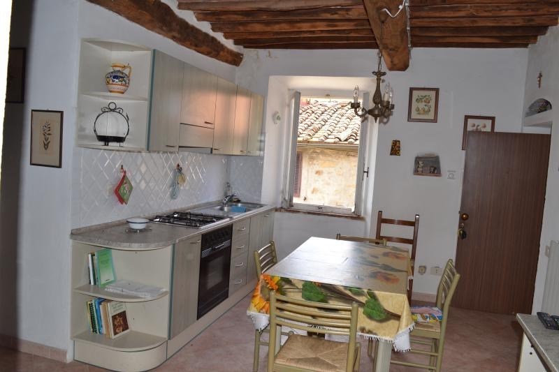 appartamento in vendita a Roccastrada