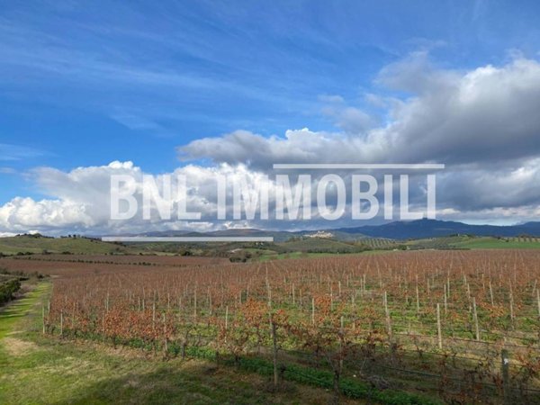 appartamento in vendita a Roccastrada in zona Ribolla