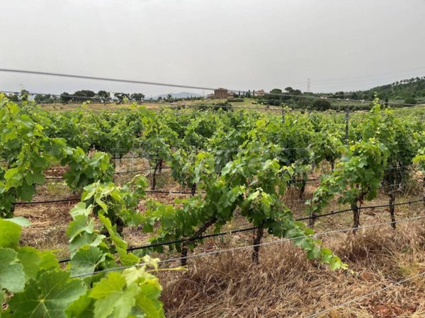 appartamento in vendita a Roccastrada in zona Ribolla